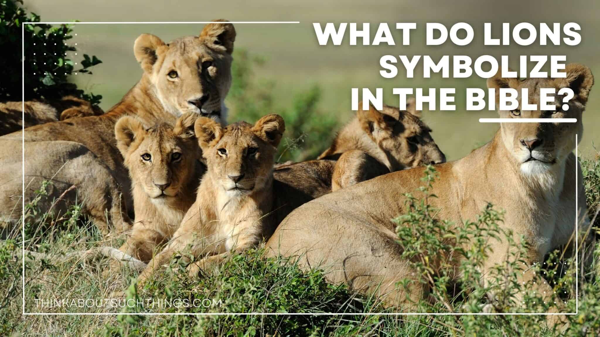 Lions In The Bible Symbolism, References, & Meaning Think About Such