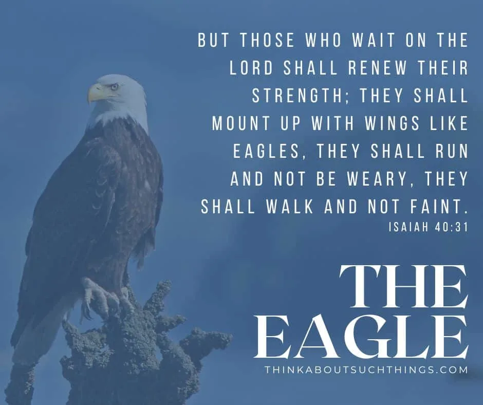 Eagle bible verse
