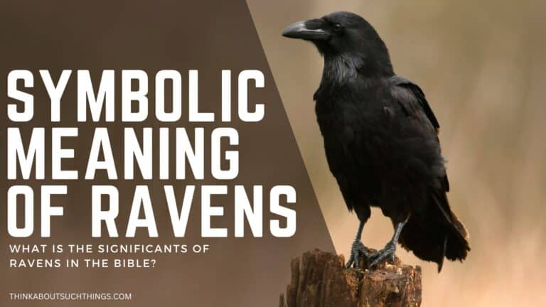 Ravens In The Bible: Symbolism, References, & Meaning | Think About ...