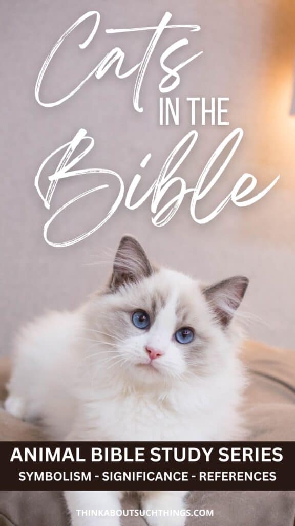 cats in the bible