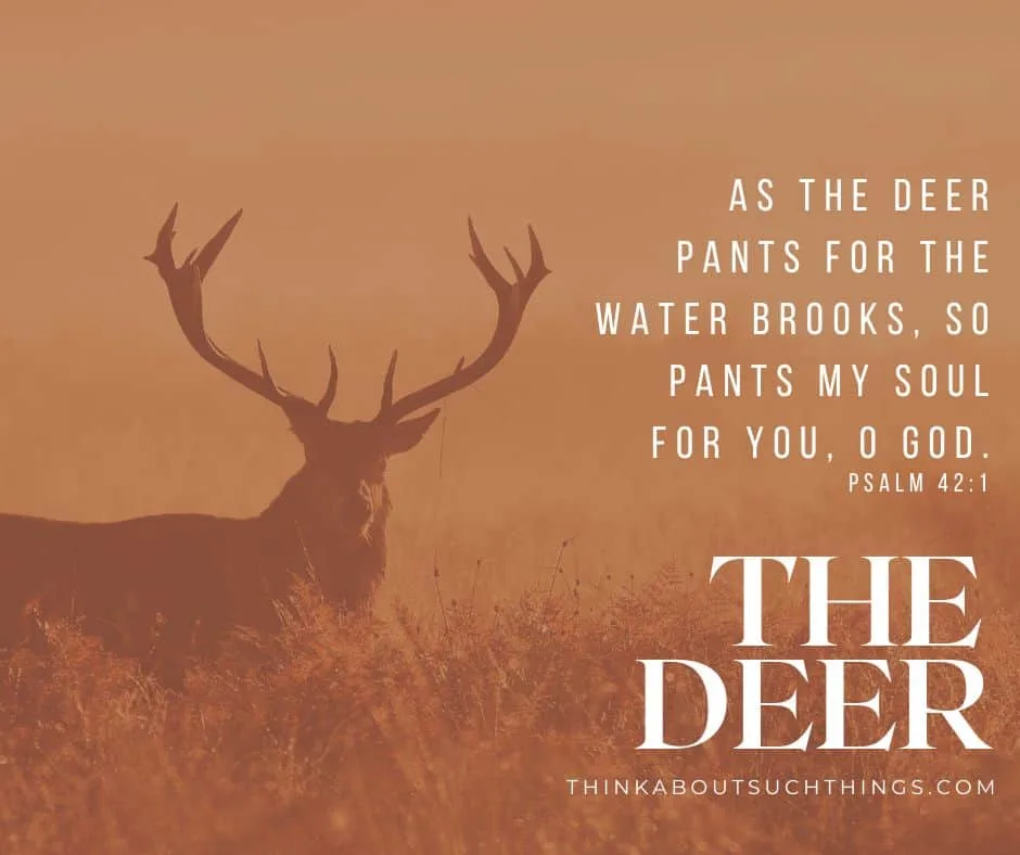 Psalm 42:1 as the Deer Pants for Streams of Water Bible - Etsy