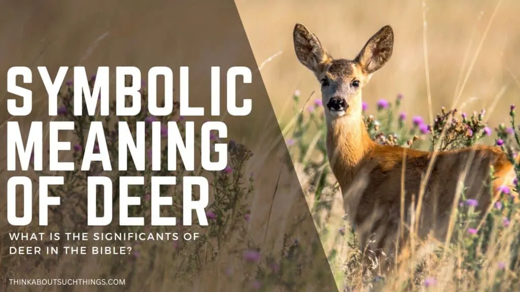 Deer In The Bible Symbolism, References, & Meaning Think About Such