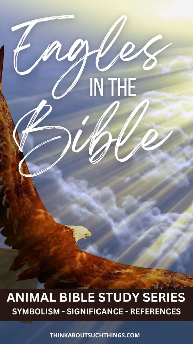 Eagles In The Bible Symbolism, References, & Meaning Think About