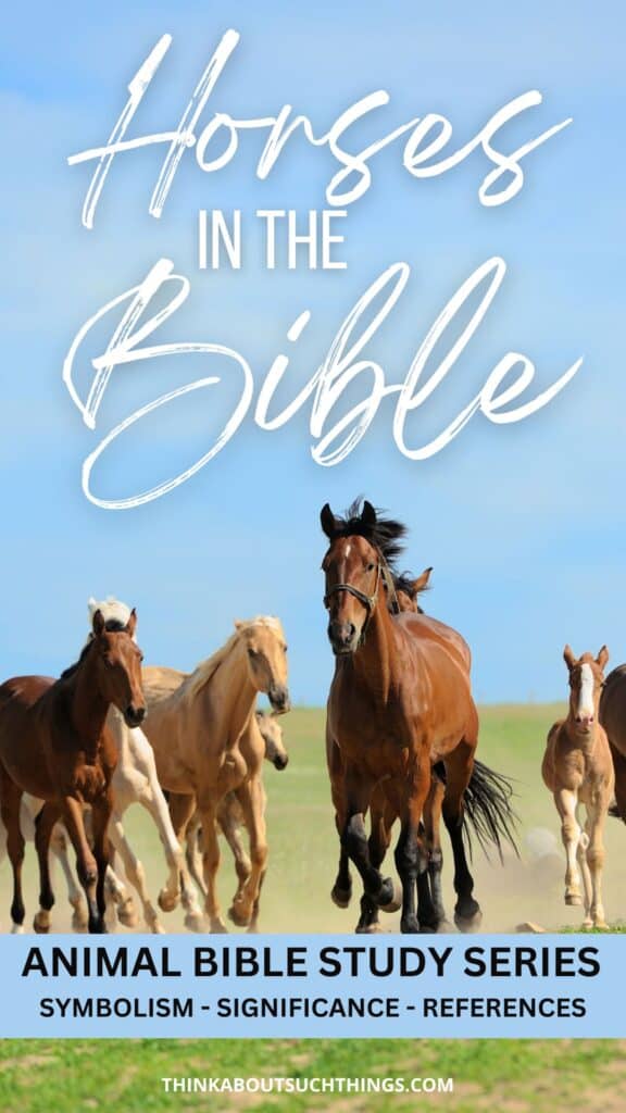 horses in the bible