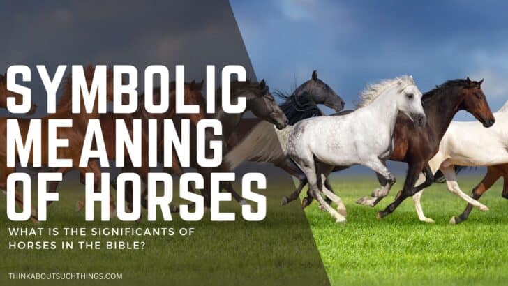 Horses In The Bible: Symbolism, References, & Meaning | Think About ...