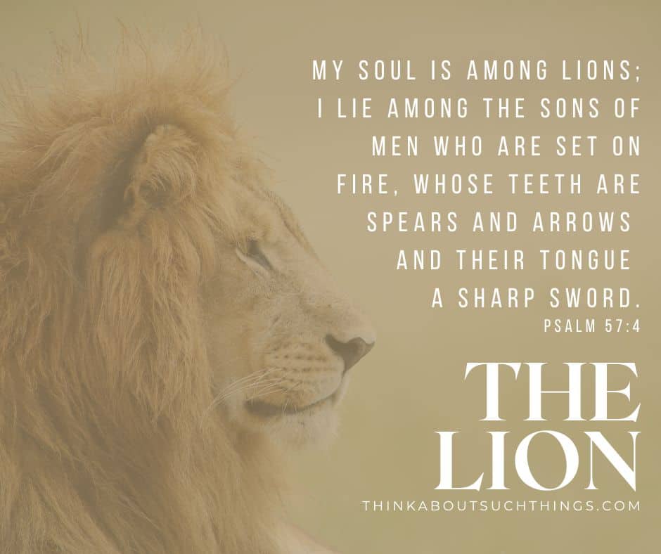 lion bible verse