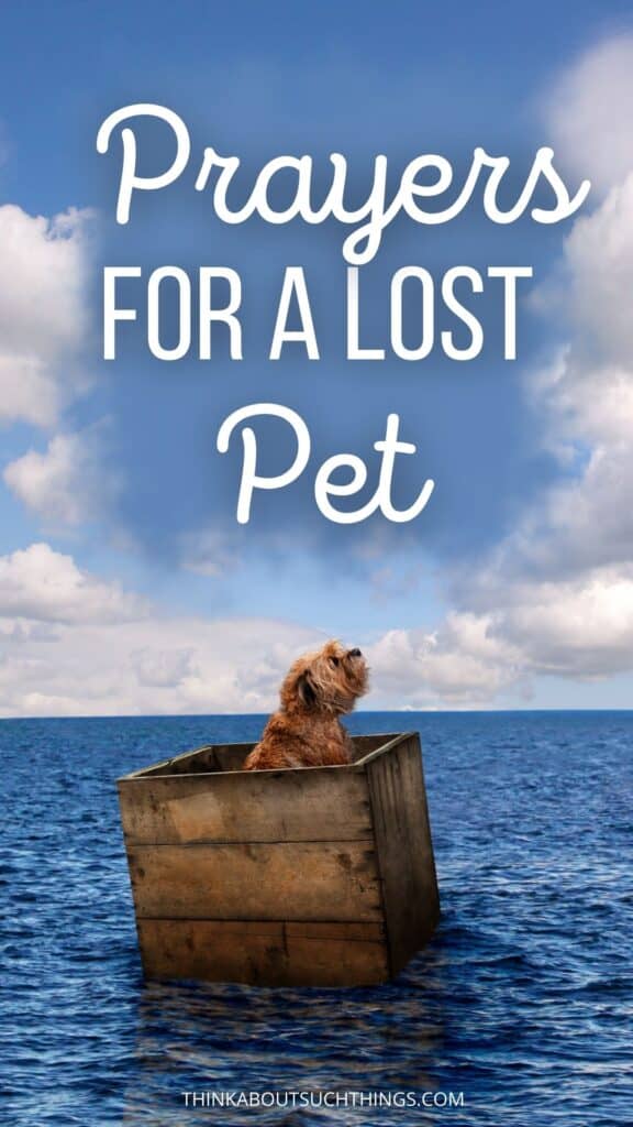 Prayer for a Lost Pet