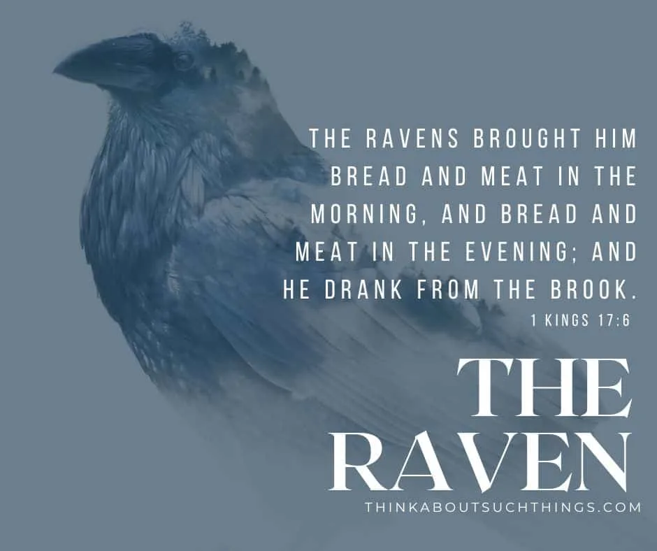 Elijah and the raven
