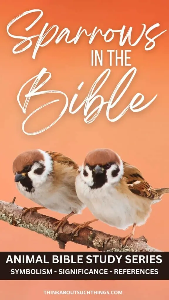 Sparrows In The Bible