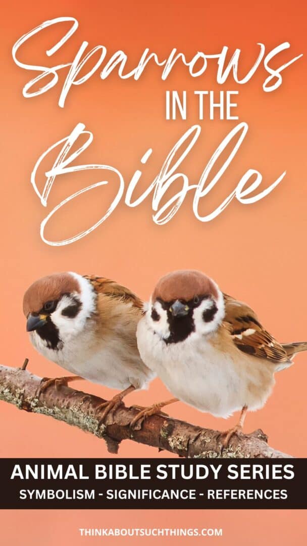 Sparrows In The Bible: Symbolism, References, & Meaning | Think About ...