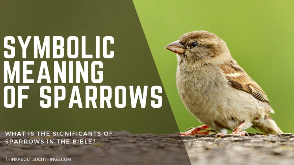 sparrow symbolism bible