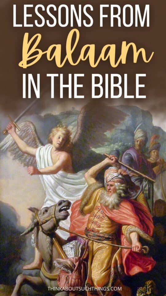 Balaam In The Bible: A Tale Of Prophecy And God's Victory | Think About ...