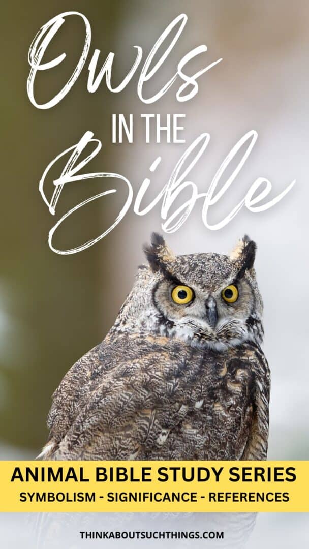 Owls In The Bible Symbolism, Meaning, Verses, And More Think About