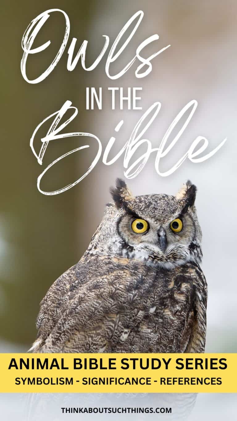 Owls In The Bible Symbolism, Meaning, Verses, And More Think About
