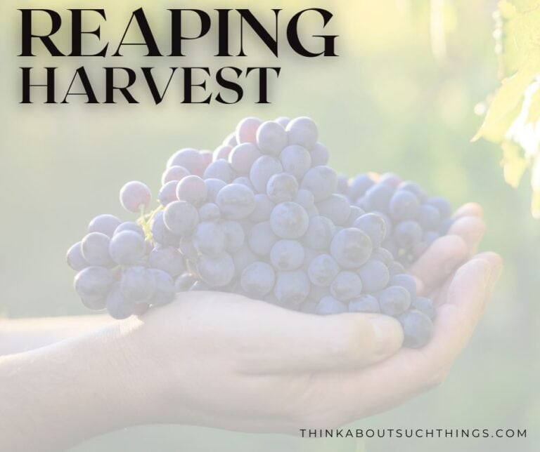 The Law Of Sowing And Reaping: Unlocking The Meaning Of Seedtime And ...