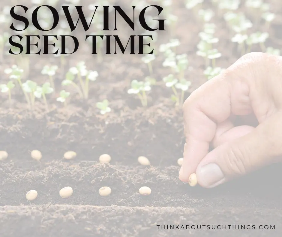sowing and seed time in the Bible