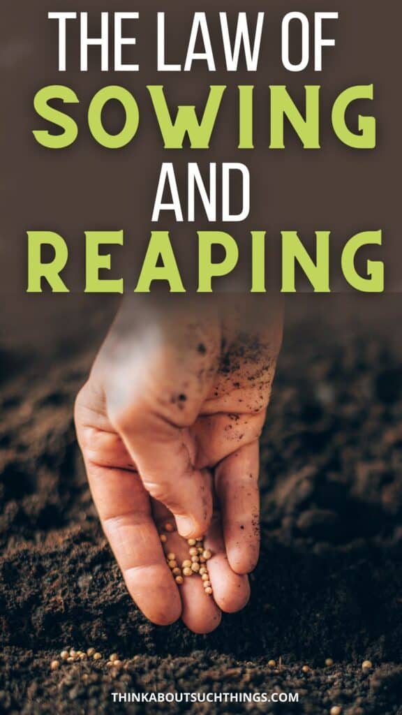The Law Of Sowing And Reaping and seedtime and harvest