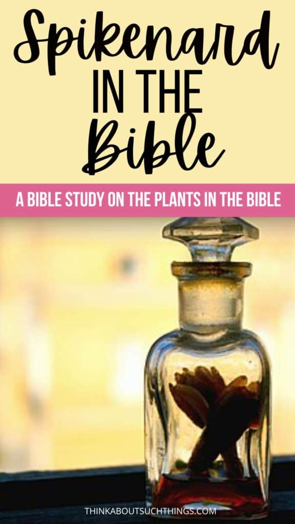 Spikenard in the Bible