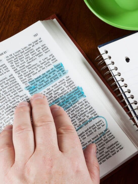 The Plumb Line In The Bible Meaning And Purpose Think About Such Things