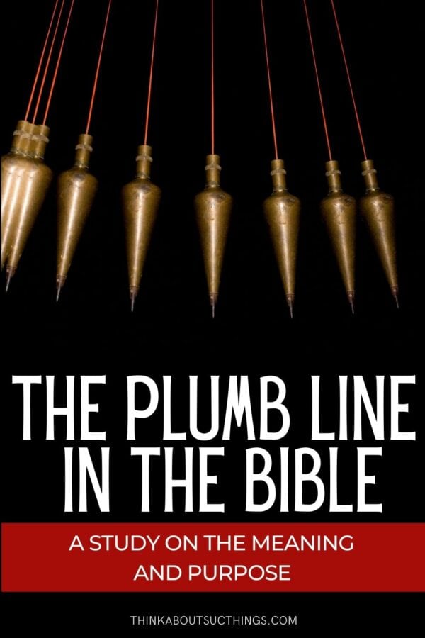 The Plumb Line In The Bible Meaning And Purpose Think About Such Things