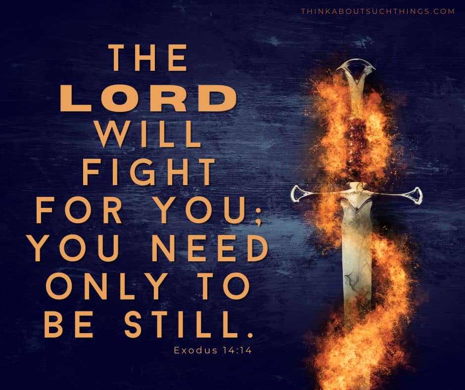 The lord will fight for you verse