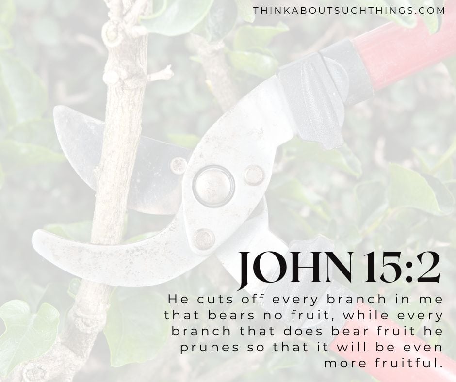 pruning bible verse