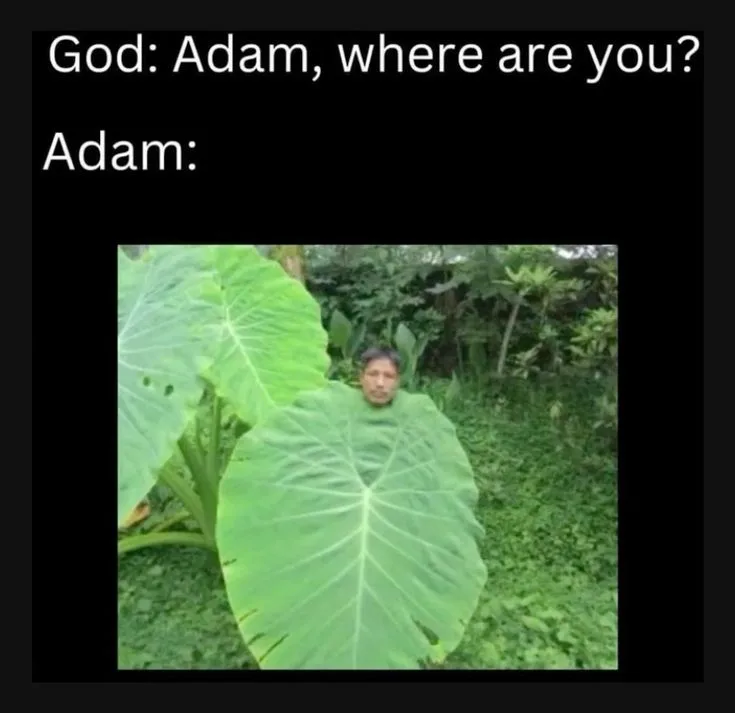 christian meme adam and God