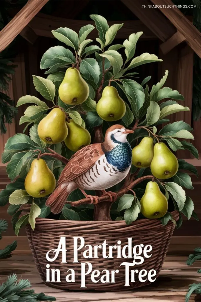 The Meaning Of The 12 Days of Christmas