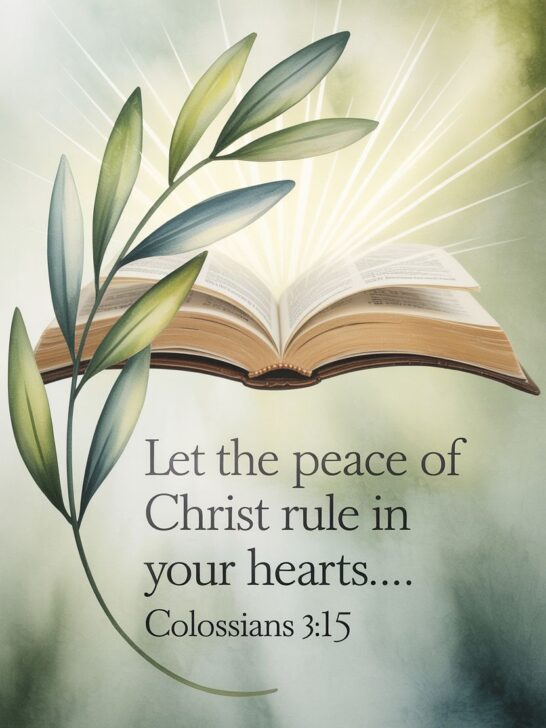 The Most Powerful Bible Verses About Love And Forgiveness | Think About ...