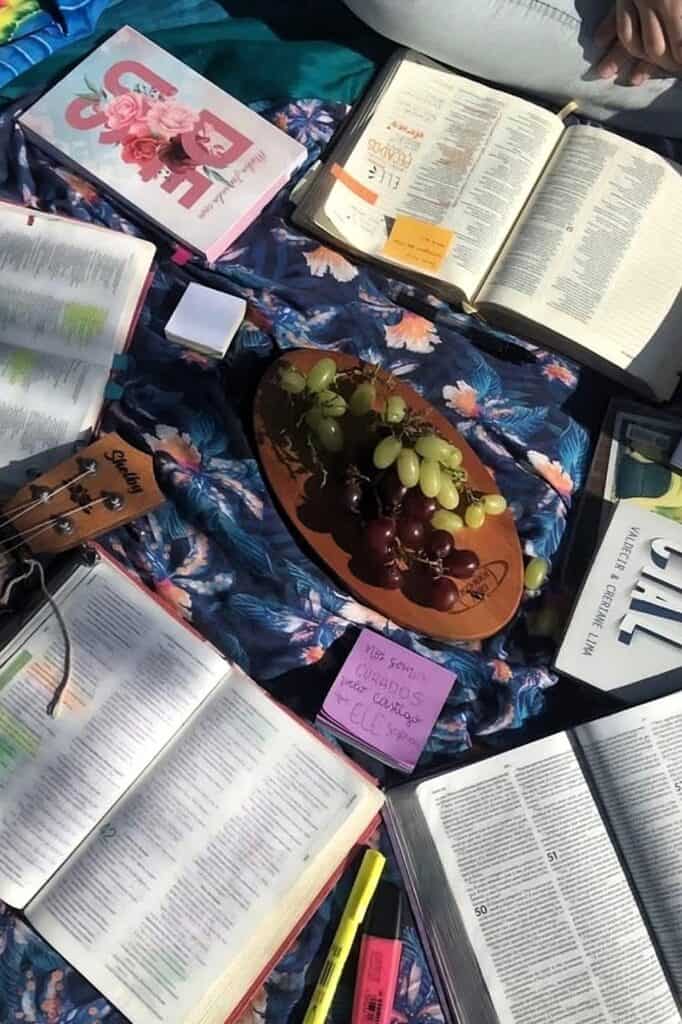 Bible study picnic with open scriptures, grapes, and spiritual reflection.